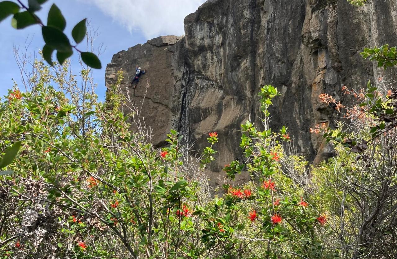 Refugio Casa Piedra Otel Puerto Ingeniero Ibanez Dış mekan fotoğraf